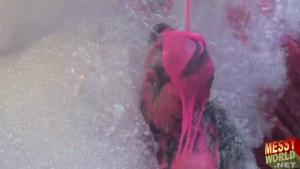the-messyworld-human-carwash_14.jpg