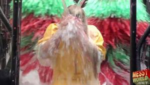 the-messyworld-human-carwash_39.jpg