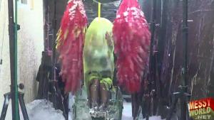 the-messyworld-human-carwash_50.jpg